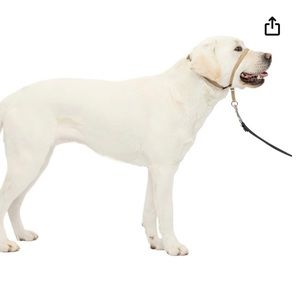 Petsafe Gentle Leader Large in Fawn